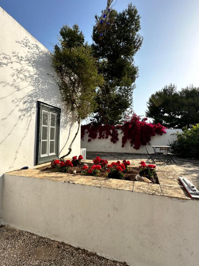 Гостевой дом Two Olive Trees Спетсес Экстерьер фото